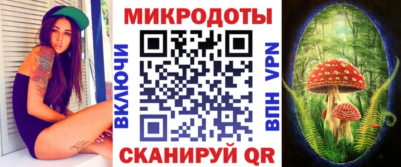 наркотики  Долинск  Псилоцибиновые грибы Psilocybine cubensis 